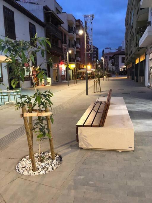 Estudio Con Amplia Terraza En Puerto De La Cruz Εξωτερικό φωτογραφία